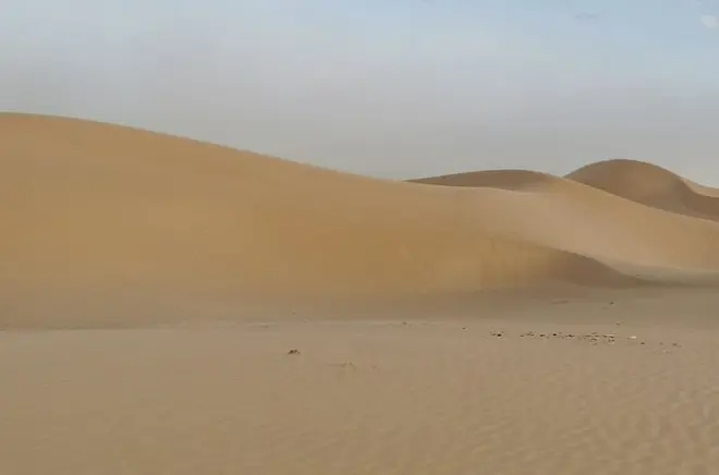 Tour noturno em Salalah: Incenso e a cidade perdida de Ubar