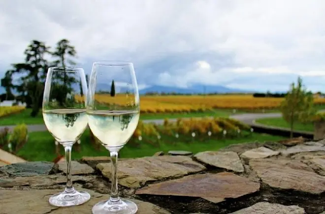 Marlborough Wine and Gourmet Trail: 6-hour tasting tour
