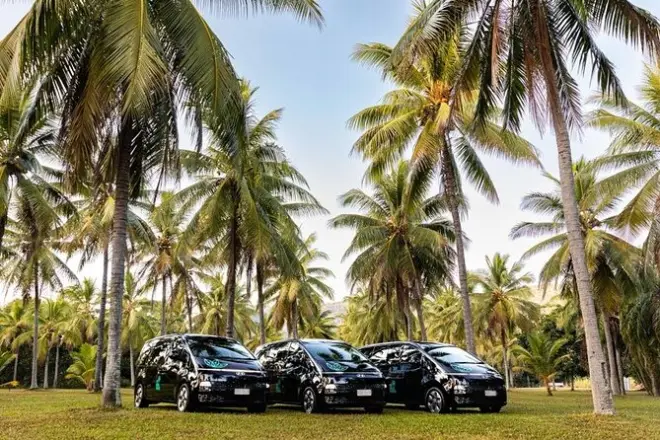 Transfert privé Port Douglas Palm Cove : Jusqu’à 6 passagers