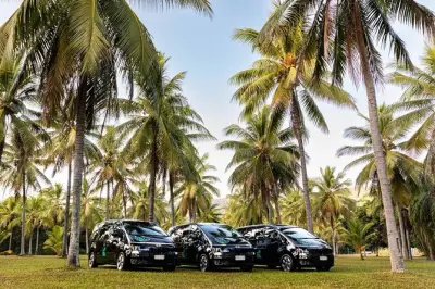 Privater Transfer von Port Douglas nach Palm Cove: Bis zu 6 Personen
