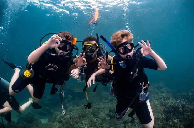 Buceo en Muscat: Arrecifes, tortugas y vida marina
