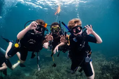 Mergulho em Muscat: Recifes, tartarugas e vida marinha