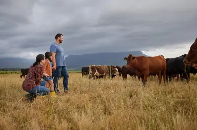 Santa Ynez Valley Farm Tour ab Solvang: Treffen Sie die Rancher