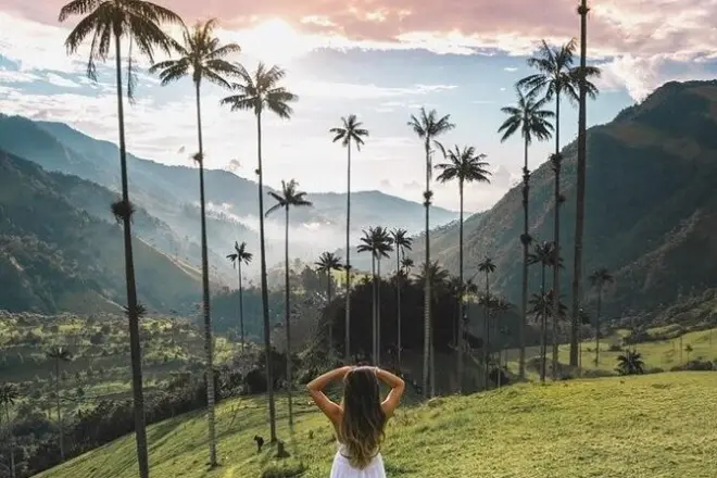 2-Tage Salento & Cocora-Tal: Kaffeeplantage und Thermalquellen
