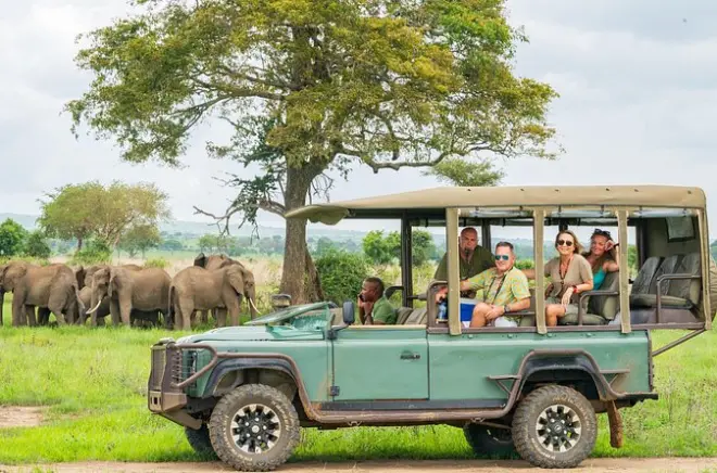 Safari à Mikumi avec photographe professionnel