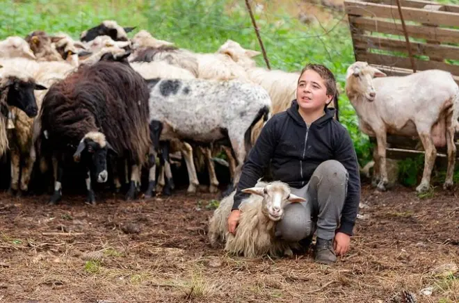 Käseherstellung in Arzana lernen: Schäfertag mit Mittagessen