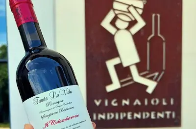 Dégustation de 4 vins et spécialités à Tenuta La Viola, Emilie-Romagne