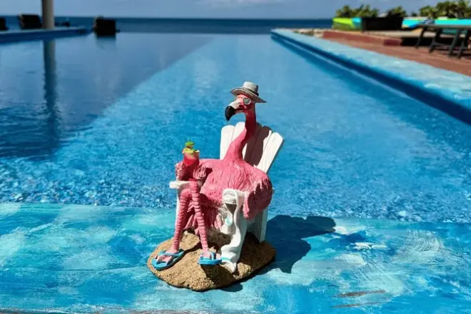 Snorkeling in Bonaire: Private Villa, Guided Tour & All-Inclusive