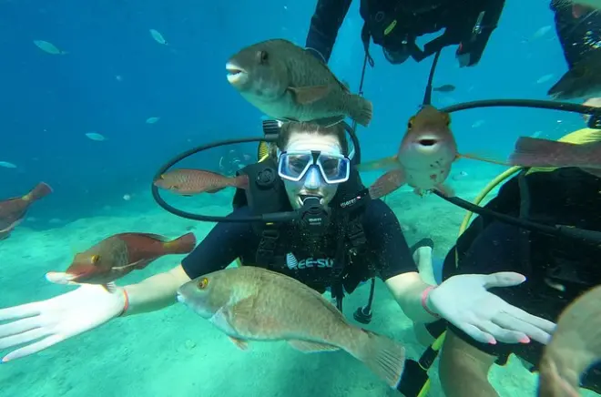 Tauchen in Alanya ab Side: 2 Tauchgänge mit Mittagessen