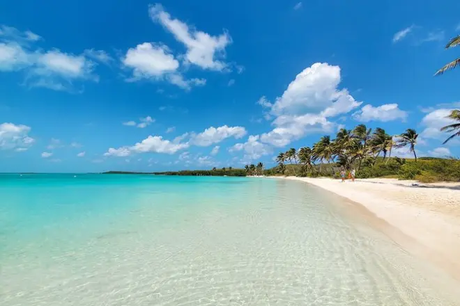 Snorkeling à Isla Contoy : Récif Ixlache avec déjeuner inclus