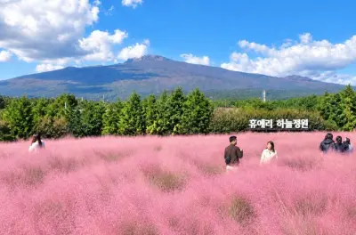 Jeju UNESCO Tour: Hallasan-Wanderung, Teeplantagen & Wasserfälle