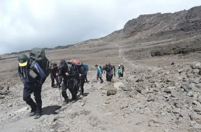 Ascension Kilimandjaro Lemosho 8 jours : Sentier ouest tranquille