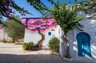 Djerba con guida locale: Ceramiche, street art e La Ghriba