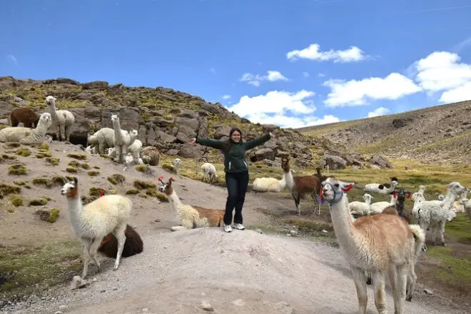 2-Day Colca Canyon Tour from Chivay to Puno: Condor Flight