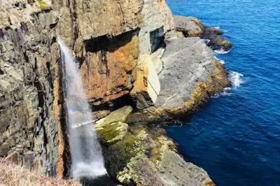 Killick Coast ab St. John's: Küstenweg mit lokalem Guide erleben