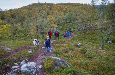 Komsa Mountain en Alta: Caminata de 3 horas en sitio UNESCO