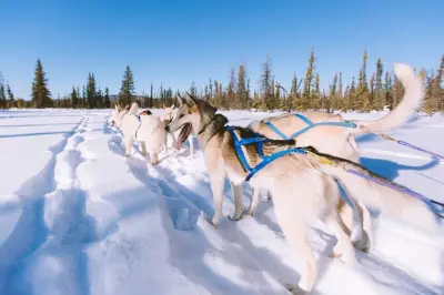 4hr Dog Sledding Trip in Gargia Valley from Alta