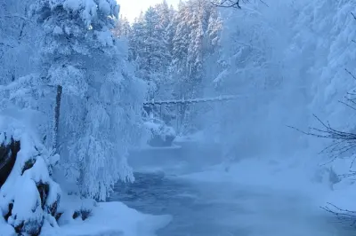 Oulanka National Park Winter Walk: Frozen Rivers & Falls