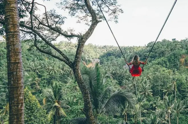 Ubud Private Tour: Jungle Swing, Rice Terraces & Waterfall