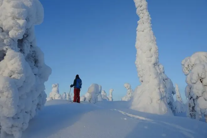Caminhada nos montes de Kuusamo com guia particular e sem experiência
