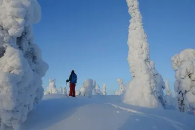 Snowshoe hike Kuusamo fells: Private guide, no experience needed
