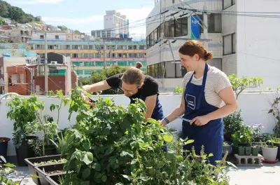 Aula de culinária coreana em Busan: Ensopado de tofu e panquecas