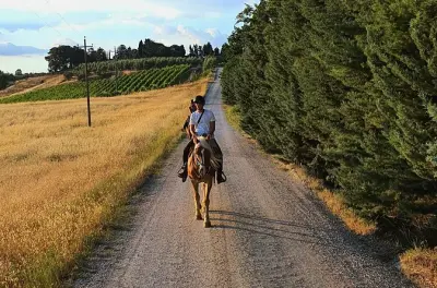 Reitausflug in Siena: Toskana Weinberge & Landschaft