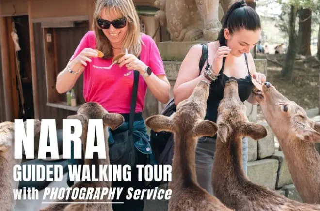 Nara Spaziergang mit lokalem Guide: Hirsche, Tempel & Fotos