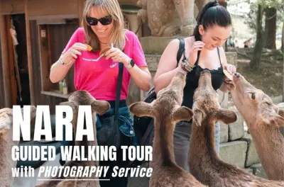 Nara Spaziergang mit lokalem Guide: Hirsche, Tempel & Fotos