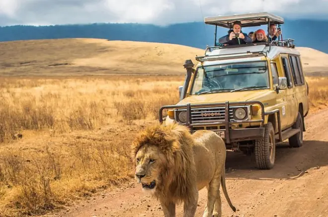 Hluhluwe Imfolozi Big-5-Safari ab Durban