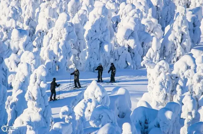 Cross-country skiing in Saariselkä: Learn Nordic skiing