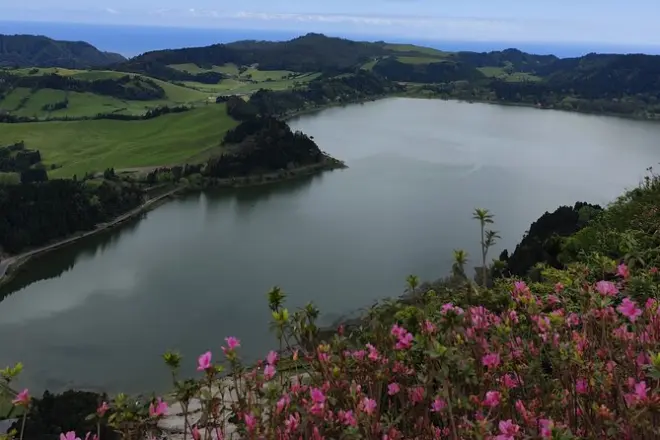 Private Half-Day Tour in Furnas: Lagoon, Tea Factory & Viewpoints