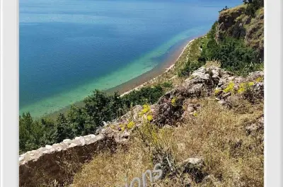Île aux Serpents et Golem Grad depuis Ohrid en bateau guidé
