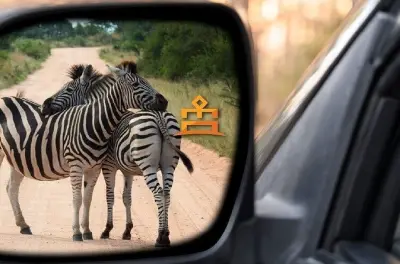 Pilanesberg Safari ab Sun City: Big 5 Pirschfahrt mit Mittagessen