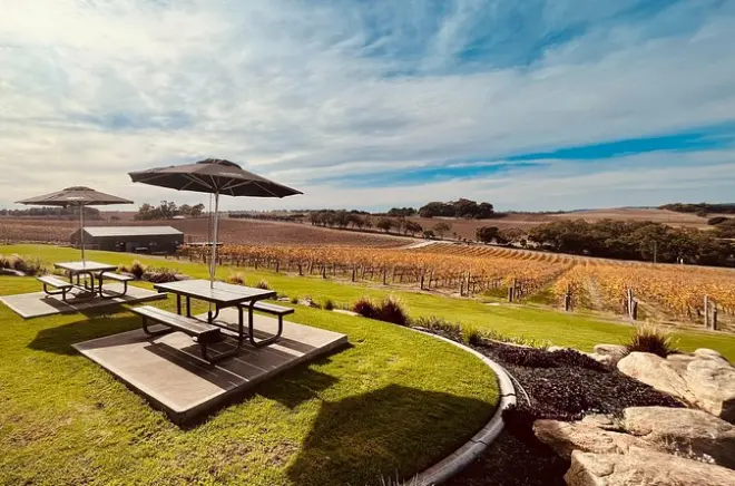 McLaren Vale et Hahndorf : Dégustations de vins et village allemand