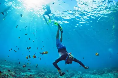 Snorkeling à Key West : Location privée de bateau pour récifs