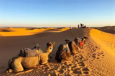 Desierto del Sahara desde Fes: Camellos y campamento en Merzouga
