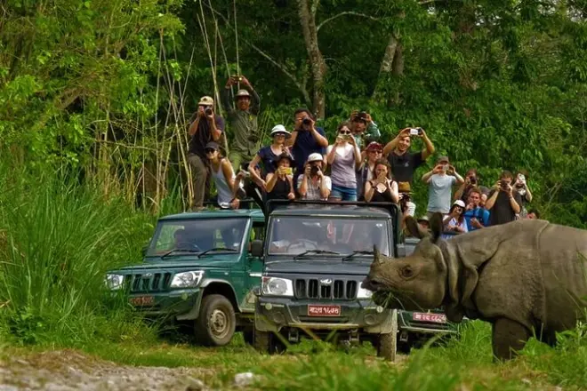 Chitwan National Park Tour: Jeep Safari & Canoe Ride