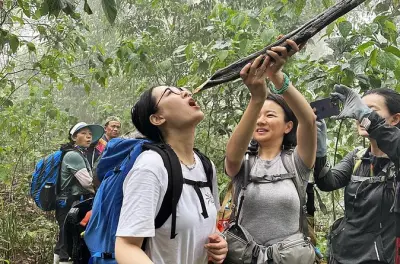 Kayak-Tour im Nam Ha Schutzgebiet: 3 Tage Trekking & Paddeln