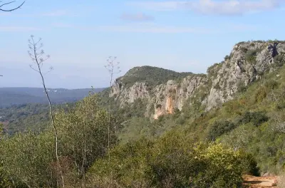 Rocha da Pena: Tour guiado sobre geologia, flora e aves raras