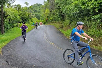 Oahu familienfreundliche downhill-biketour & ko'olau wasserfall wanderung mit hoteltransfer, ausrüstung und lokalem guide. entdecke regenwald und traumhafte aussichten.