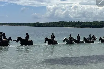 Rafting em bambu e passeio a cavalo em Ocho Rios