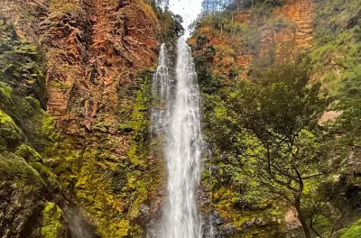 Tour Ghana: Cascate di Wli, monte Afadjato e santuario delle scimmie