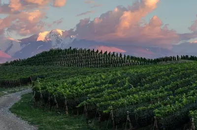Zuccardi Legacy Tour, Uco Valley: Private Winery & Vineyard