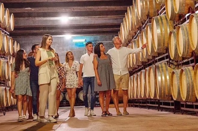 Half-Day Mendoza Wine & Olive Oil Tour: Two Wineries, One Factory