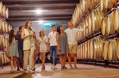 Mezza giornata a Mendoza: Due cantine e una fabbrica di olio