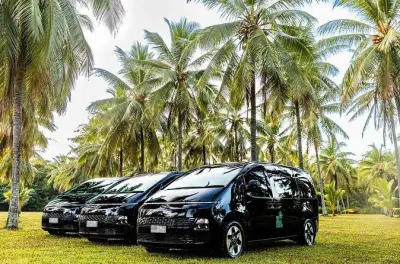 Traslado privado con aire acondicionado de Palm Cove a Cairns