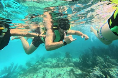 Nade com tartarugas na baía de akumal com guia local. inclui sessão de fotos gopro, equipamento de snorkel e acesso a chuveiros e armários. experiência exclusiva e privada.