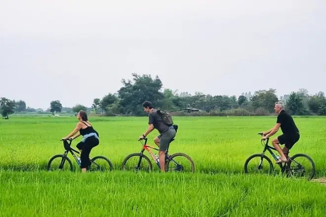 Sukhothai Countryside Tour: Rice Mills & Distilleries Visit