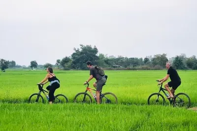Sukhothai Countryside Tour: Rice Mills & Distilleries Visit